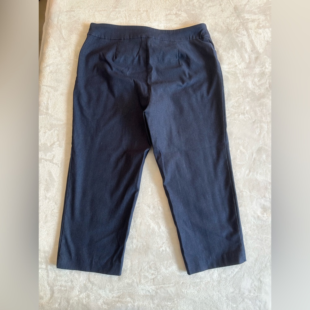 Time & True women’s size 8 pull on capri pants. Denim looking fabric - Picture 2 of 5
